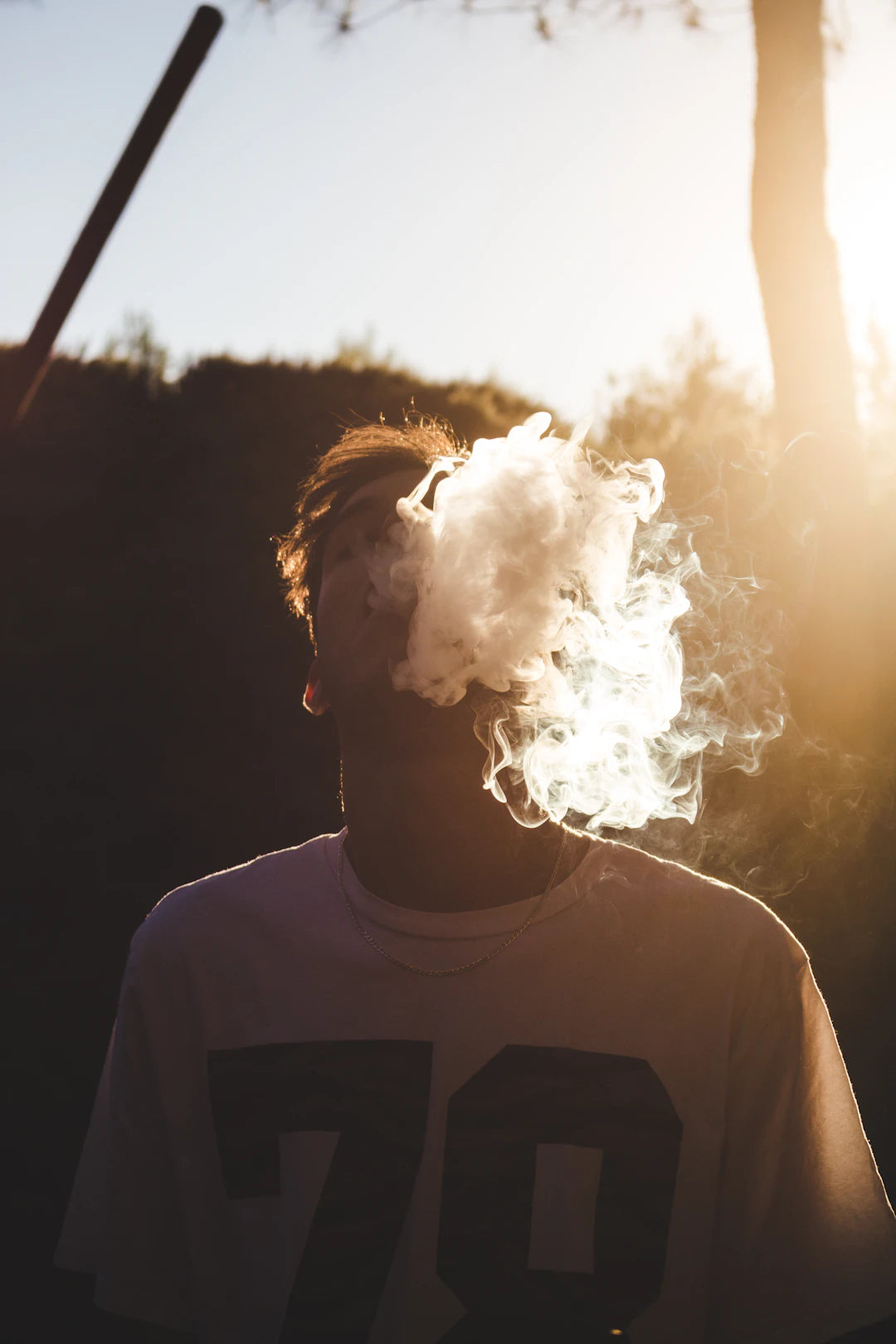 The Impact of Social Media on Vaping Culture