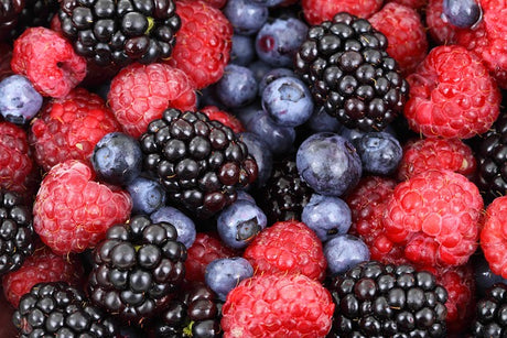 Fruit Flavour 100ml Shortfills